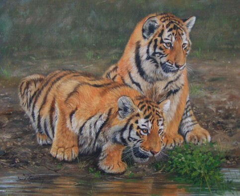 2tigers by David Stribbling