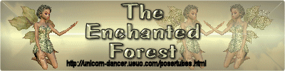 Enchanted Forest Banner 5